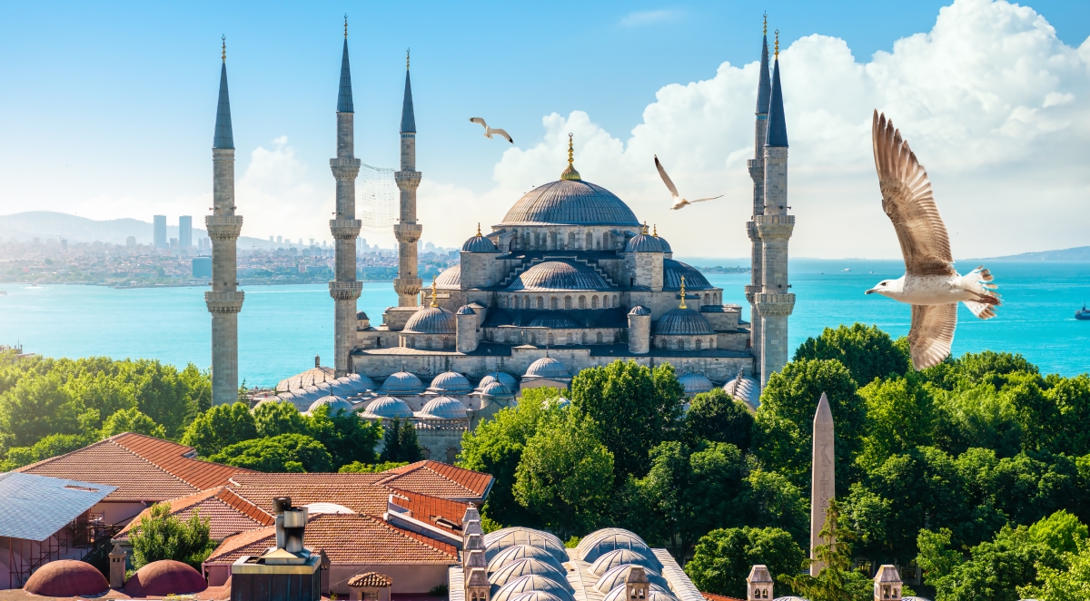 11 Day Turkey Luxury Tour Istanbul, Cappadocia, Pamukkale & Ephesus photo 8