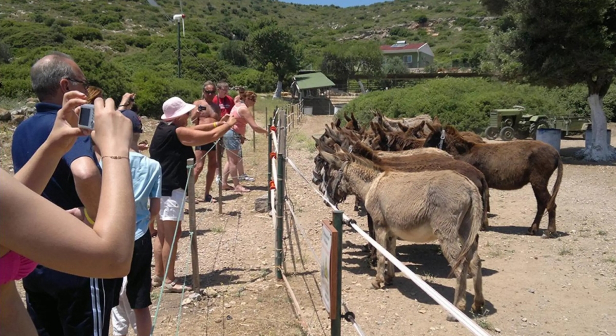 Discover Cesme: Islands & Crystal Bays Boat Trip + BBQ Feast photo 9
