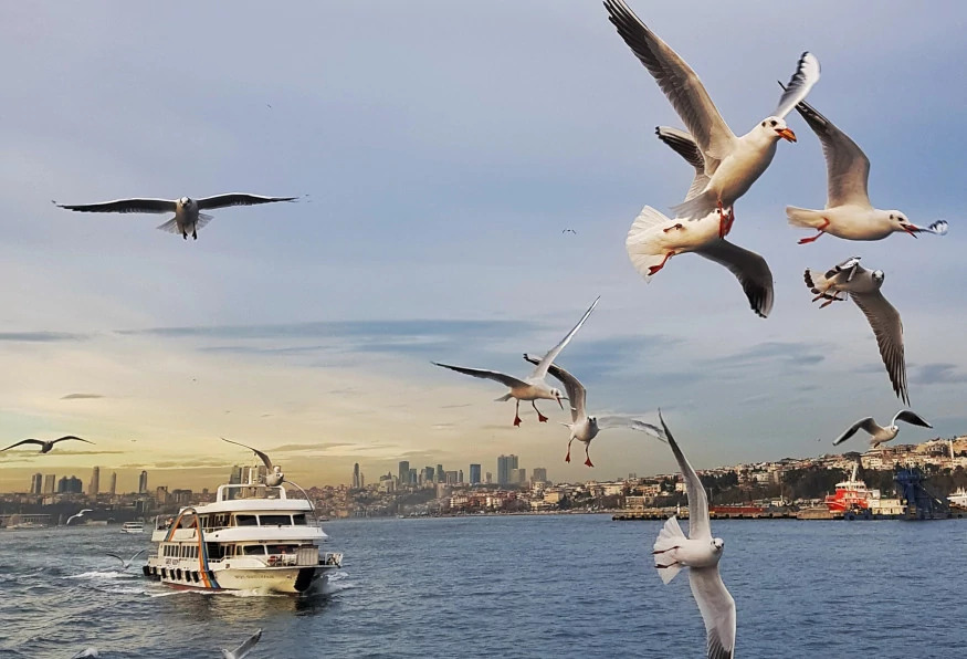 4 Days Istanbul Kite Surfing Tour photo 15