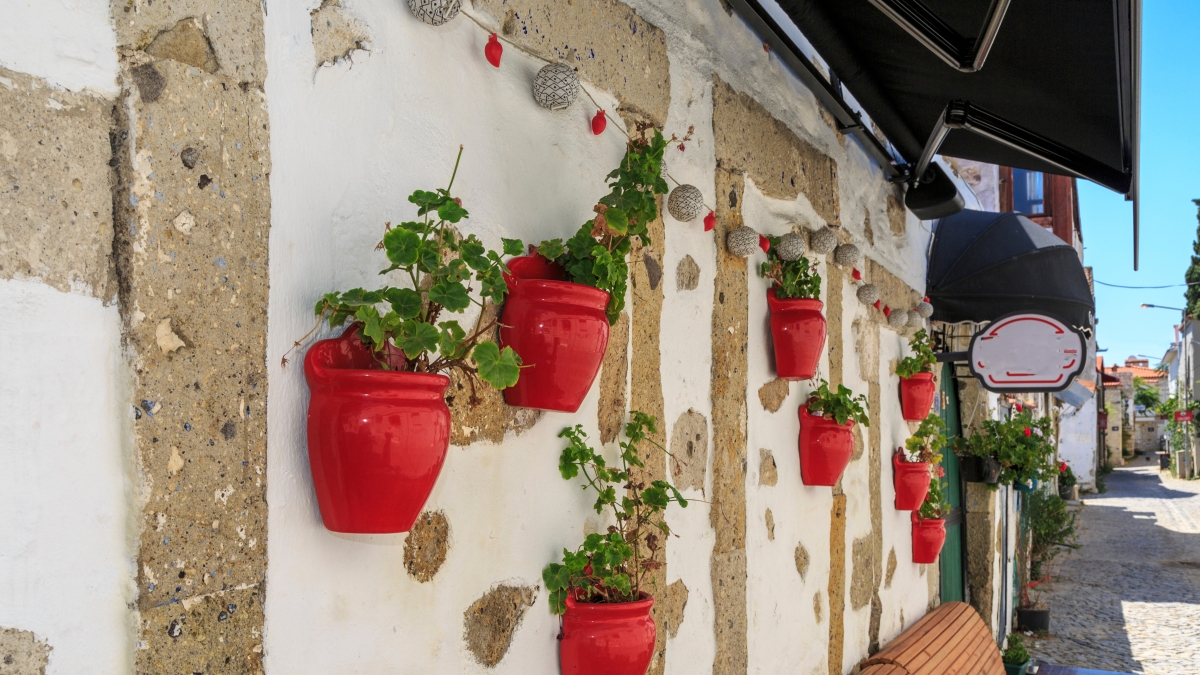 Cesme, Alacati & Izmir Private Tour with Wine Tasting & Turkish Lunch photo 5