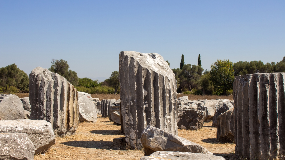 Daily Teos Ancient City & Sigacik Tour from Cesme photo 8