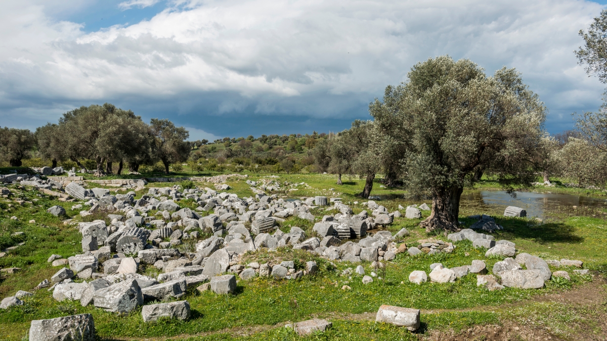 Daily Teos Ancient City & Sigacik Tour from Cesme photo 9