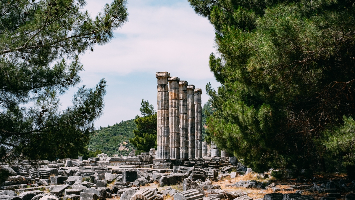 Daily Priene Miletus Didyma Tour from Cesme photo 5