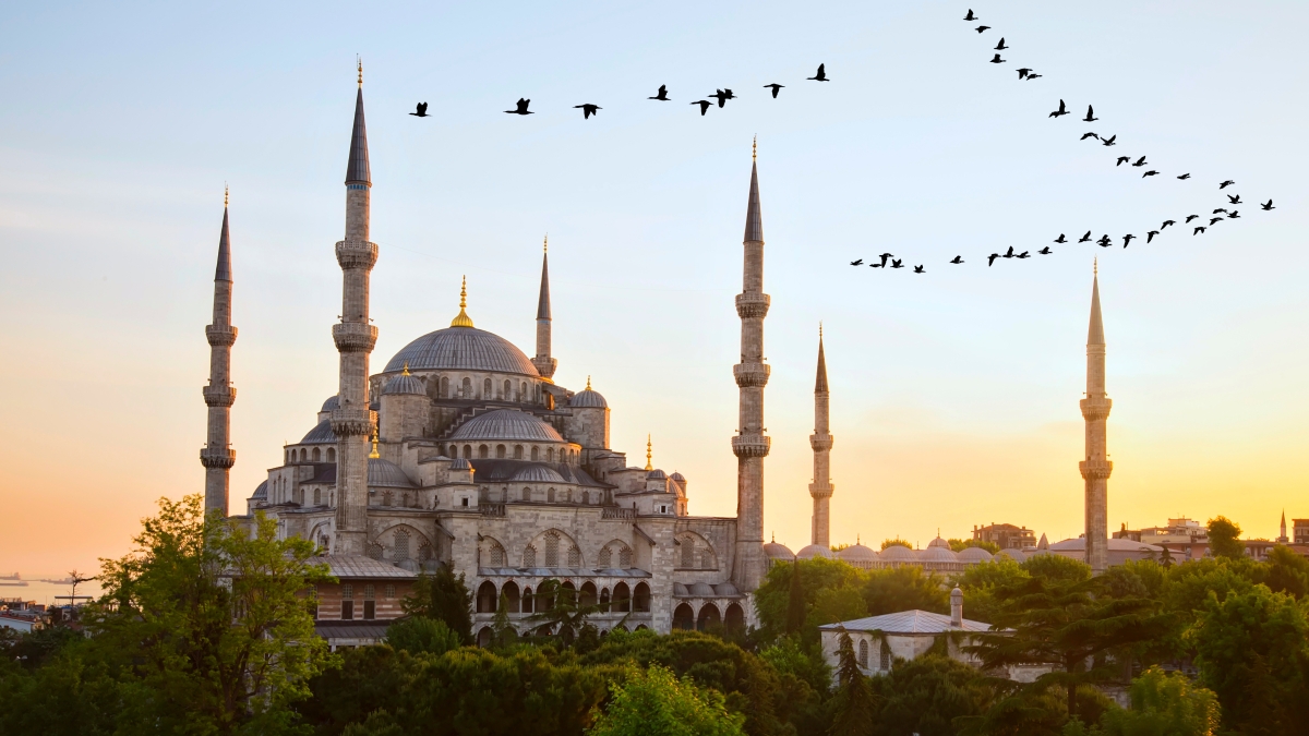 10 Day Grand Turkey, Bulgaria & Greece Tour: Istanbul to Athens Explorer photo 6