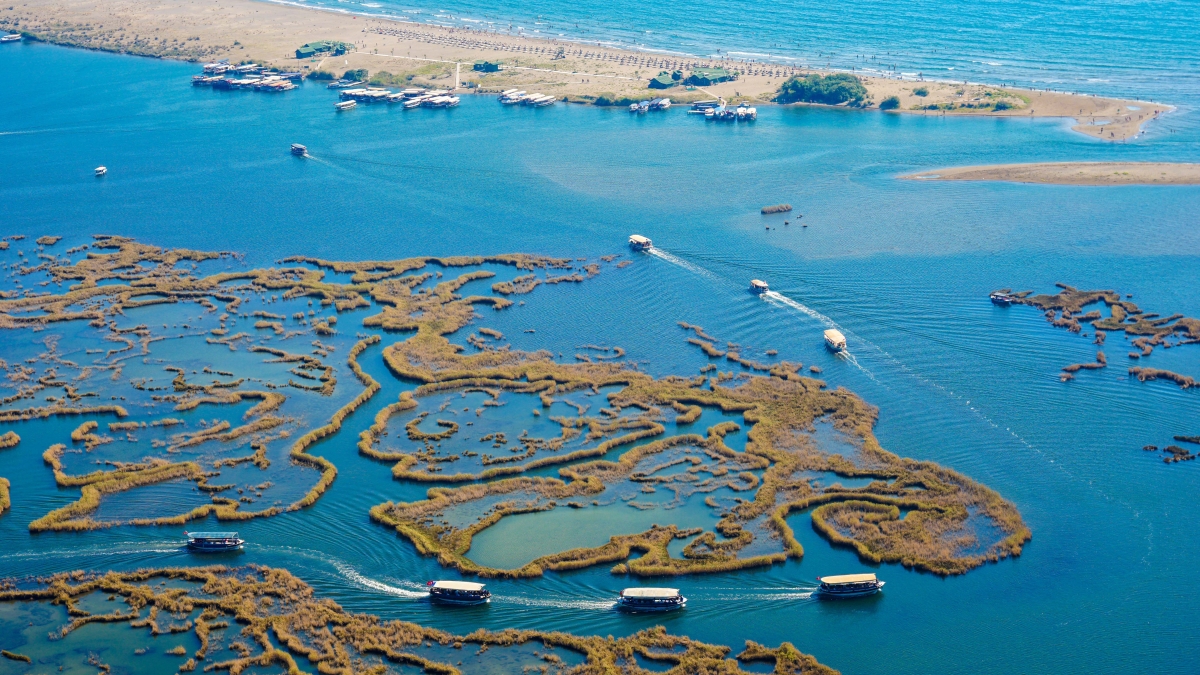Dalyan Classic Daily Tour - Mud Baths, River Cruise & Turtle Beach Escape photo 4
