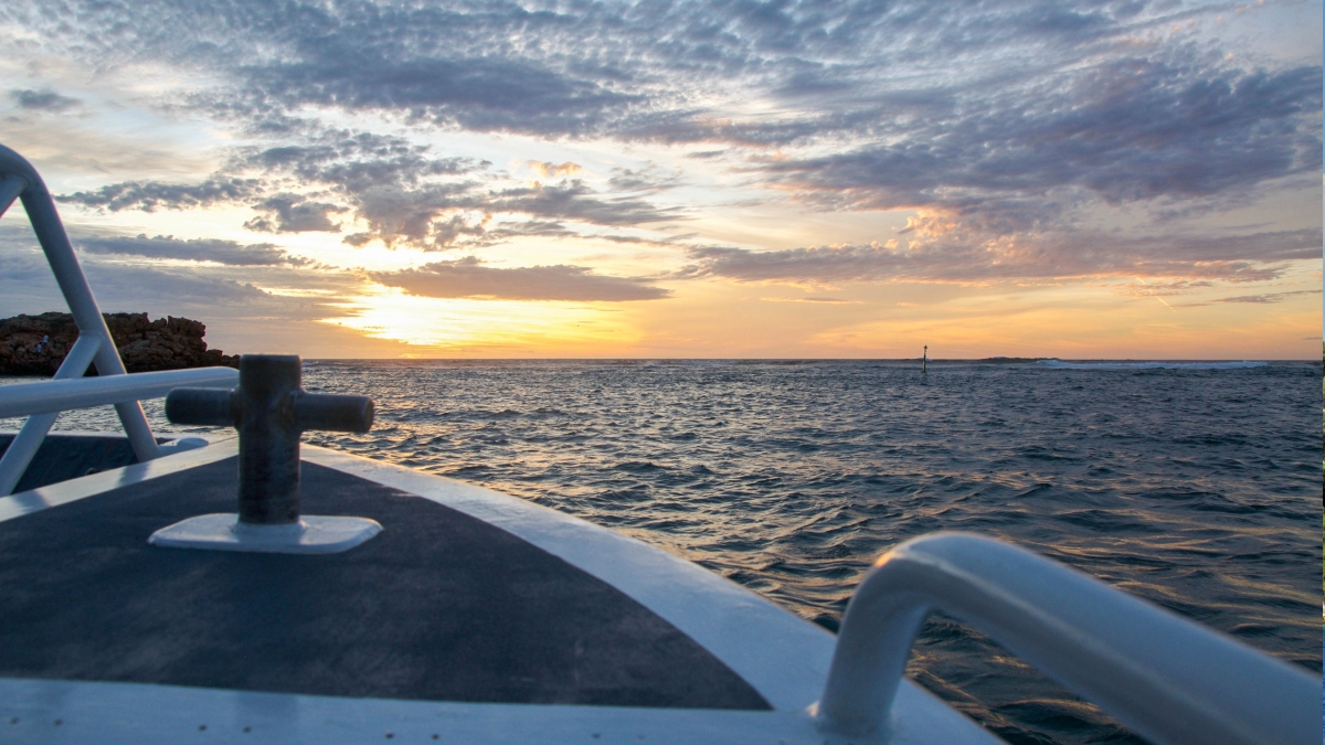 Dalyan Moonlight Lake Cruise – Sunset, BBQ & Starry Night Swim photo 3