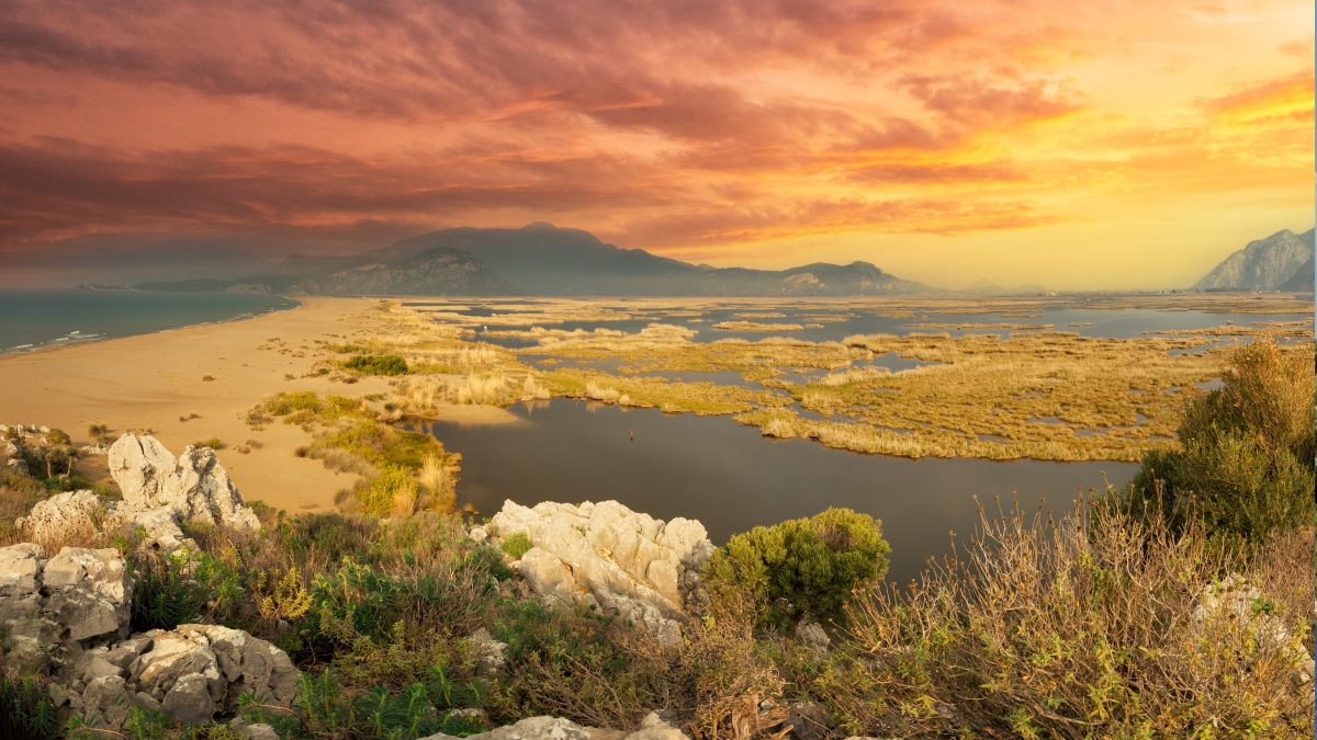 Dalyan Moonlight Lake Cruise – Sunset, BBQ & Starry Night Swim photo 10