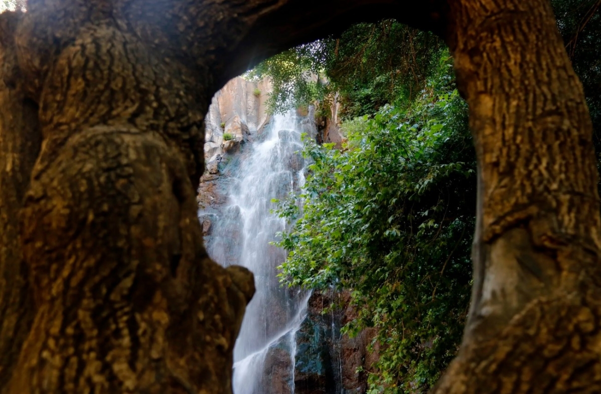 Daily Nature & Folklore Tour from Diyarbakır to Seyhandede Waterfall photo 8