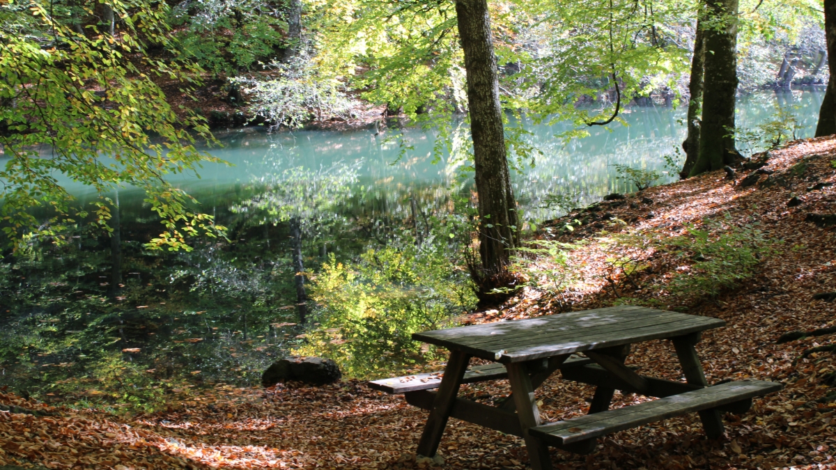 Yedigöller National Park Day Trip from Ankara photo 6