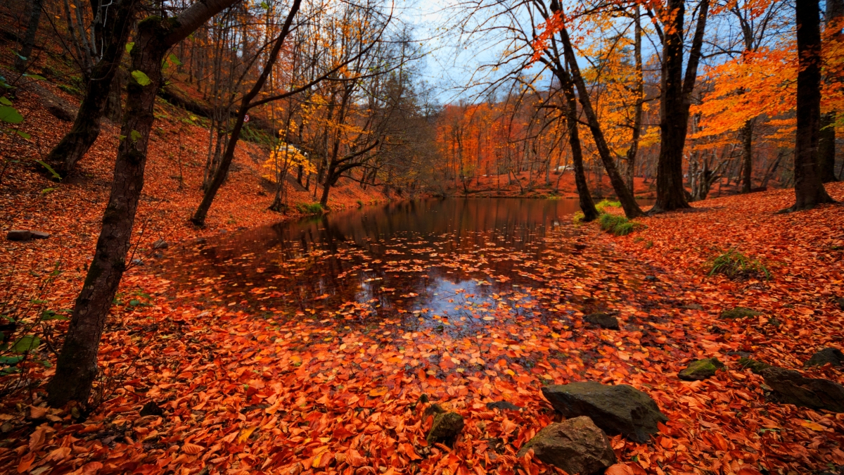 Yedigöller National Park Day Trip from Ankara photo 7
