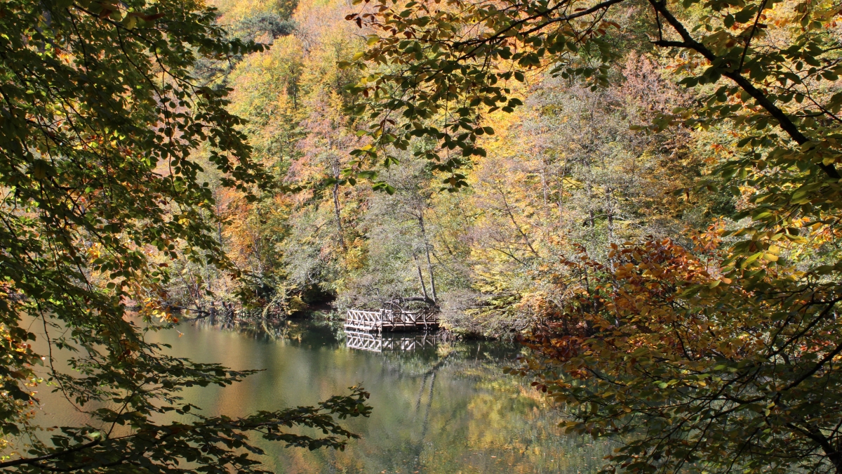 Yedigöller National Park Day Trip from Ankara photo 9