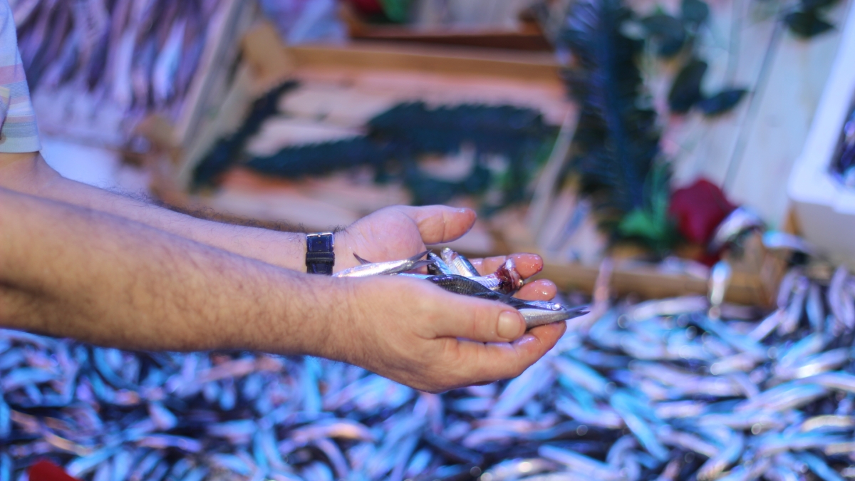 Trabzon Cooking Class & Local Market Tour – Taste of the Black Sea photo 8