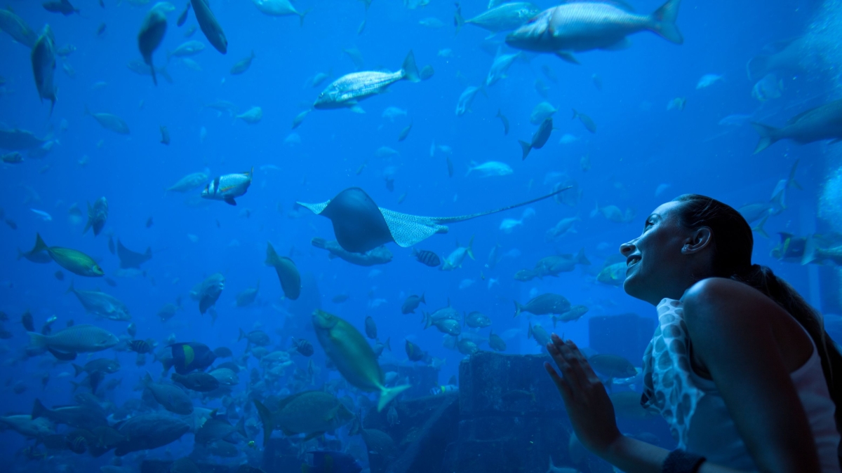 6 Day Antalya Family Adventure Tour – Aquarium, Rafting, Theme Park & Sandland photo 6