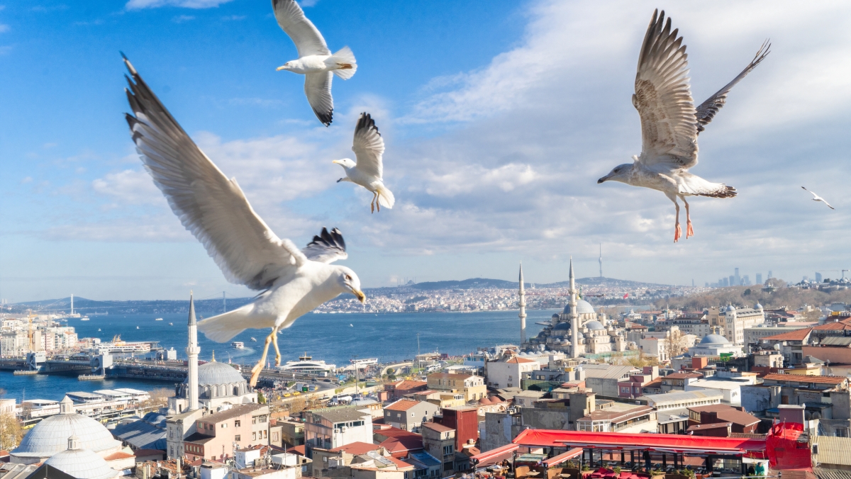 Black Friday 6 Day Special Istanbul City Tour Package photo 6
