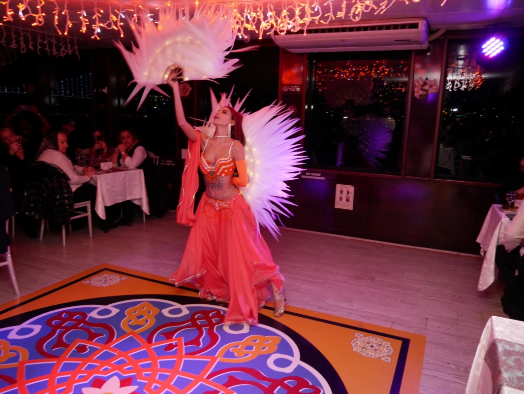 Istanbul Bosphorus Dinner Cruise & Turkish Night Show photo 7