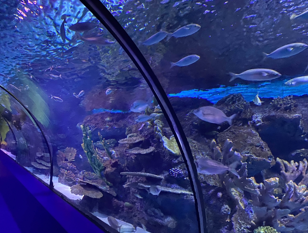 7 Days Bursa & Istanbul Family Adventure Tour photo 8