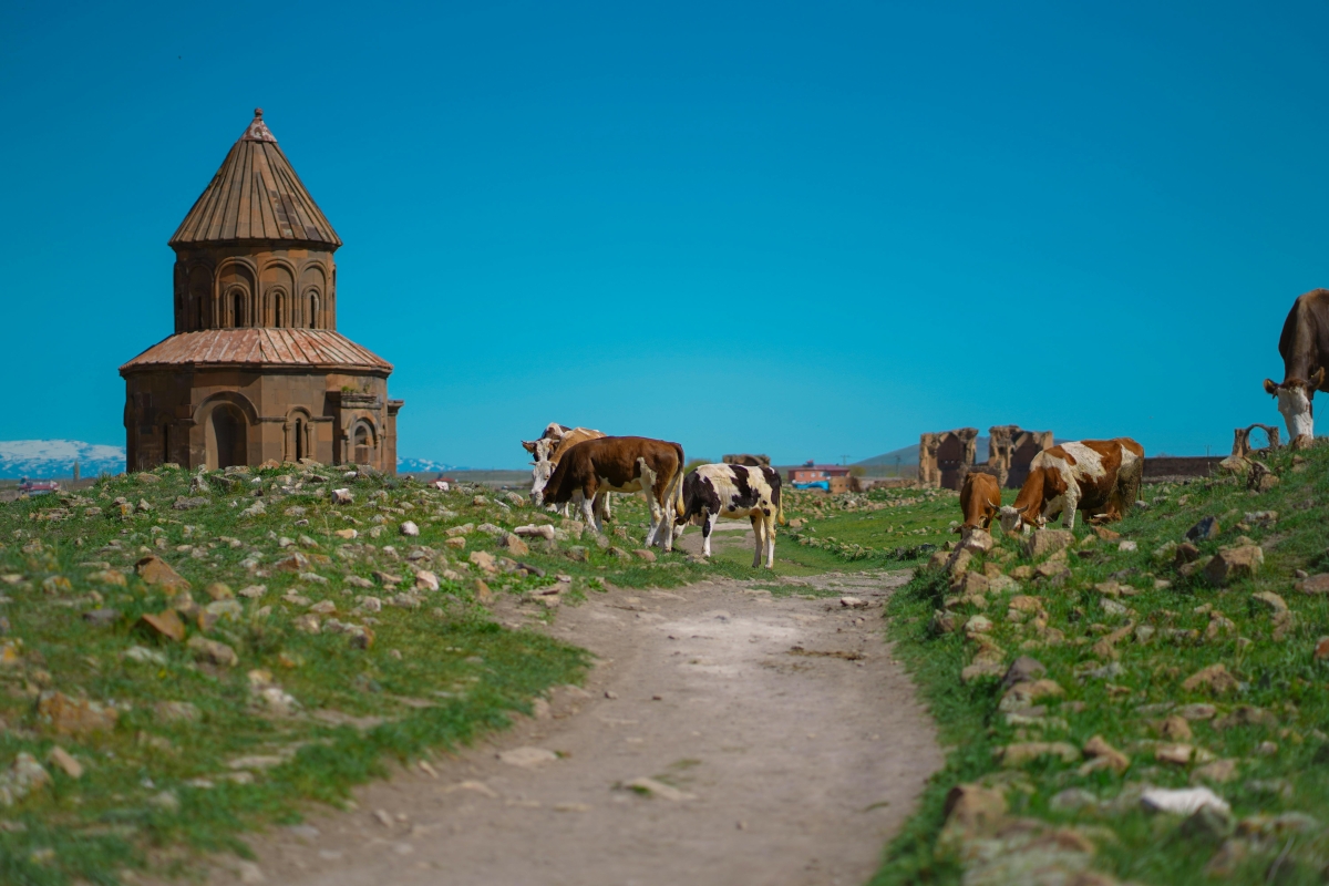 Eastern Turkey, Armenia & Georgia Tour – 11 Days Across Ancient Civilizations photo 8