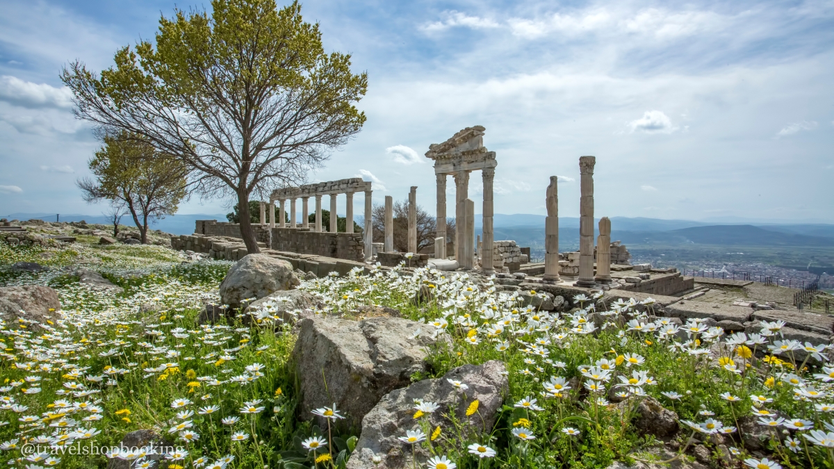Daily Pergamon Tour from Izmir – Explore Ancient Acropolis, Library & Zeus Altar photo 2
