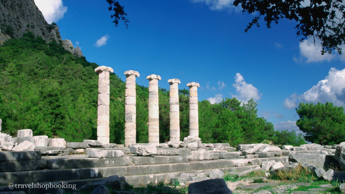 Ancient Wonders of the Aegean: Daily Priene, Miletus, and Didyma Tour from Izmir photo 2