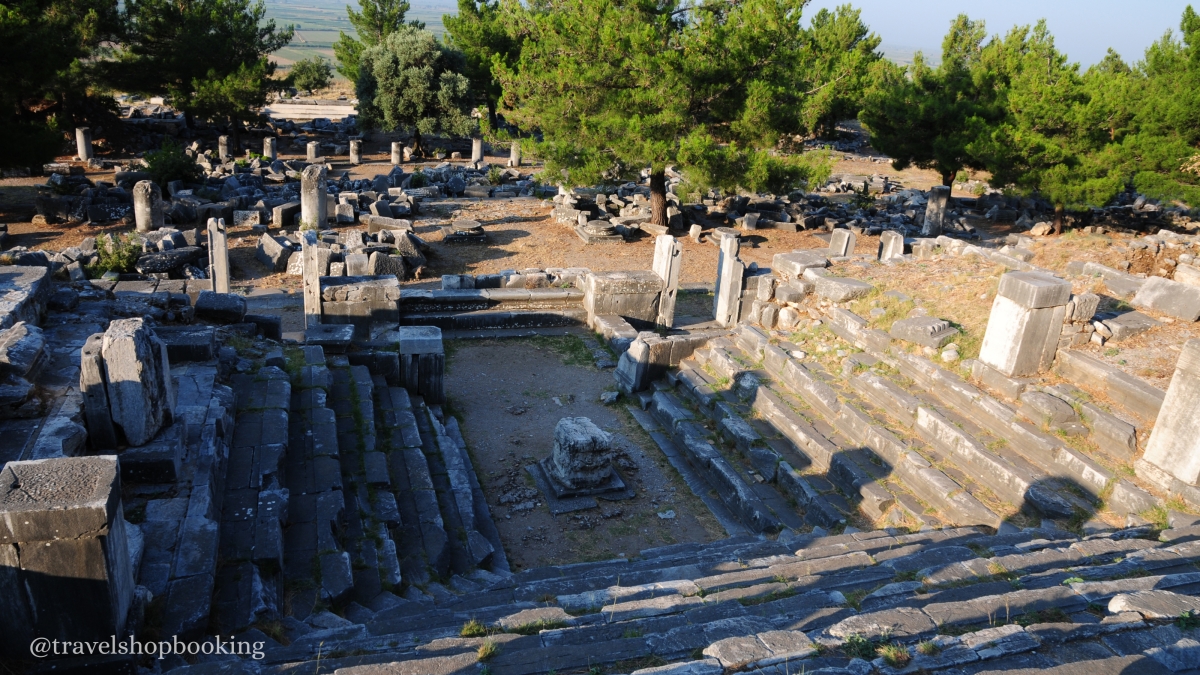 Ancient Wonders of the Aegean: Daily Priene, Miletus, and Didyma Tour from Izmir photo 6