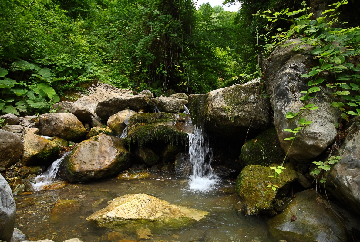 Sapanca and Masukiye Tour from Istanbul photo 10