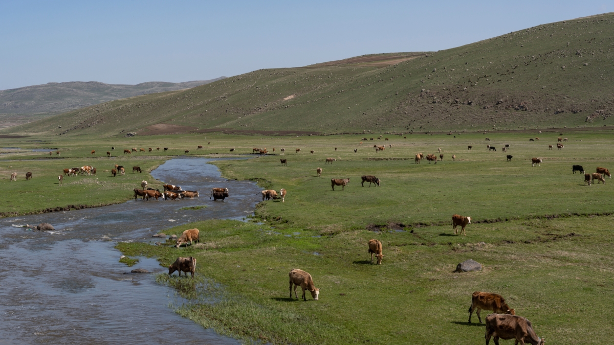 3 Days Ardahan City Tour photo 3