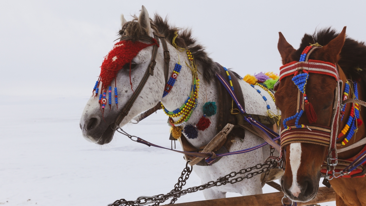 3 Days Ardahan City Tour photo 7