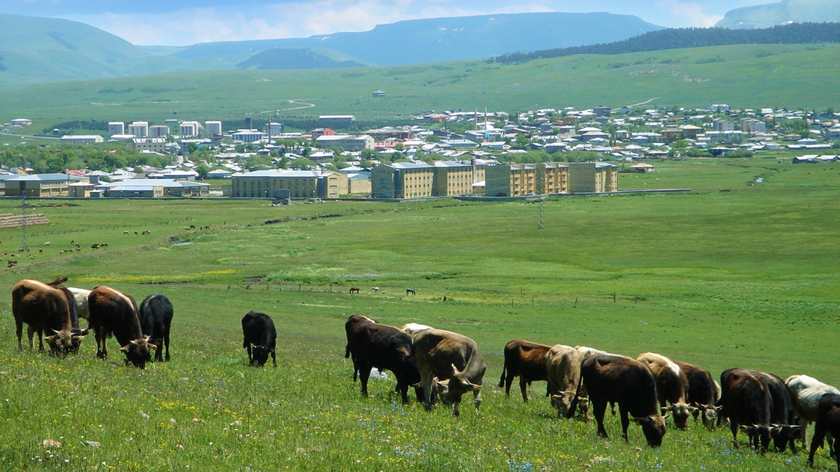 3 Days Ardahan City Tour photo 9