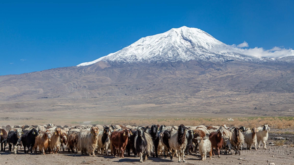5 Day Mount Ararat Climbing Tour: Summit Trek, Cultural Experience & Doğubayazıt Discovery photo 10