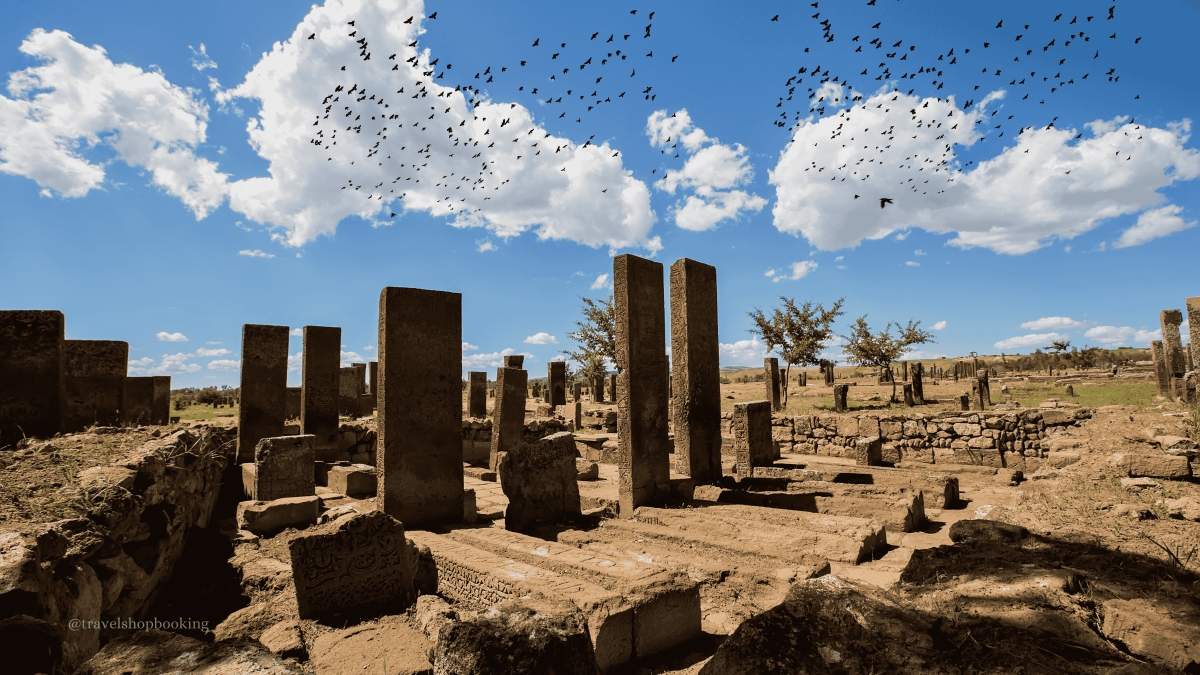 Ultimate 21 Day Turkey Grand Discovery Tour : Istanbul, Cappadocia, Ephesus, Nemrut & Eastern Anatolia Adventure photo 9