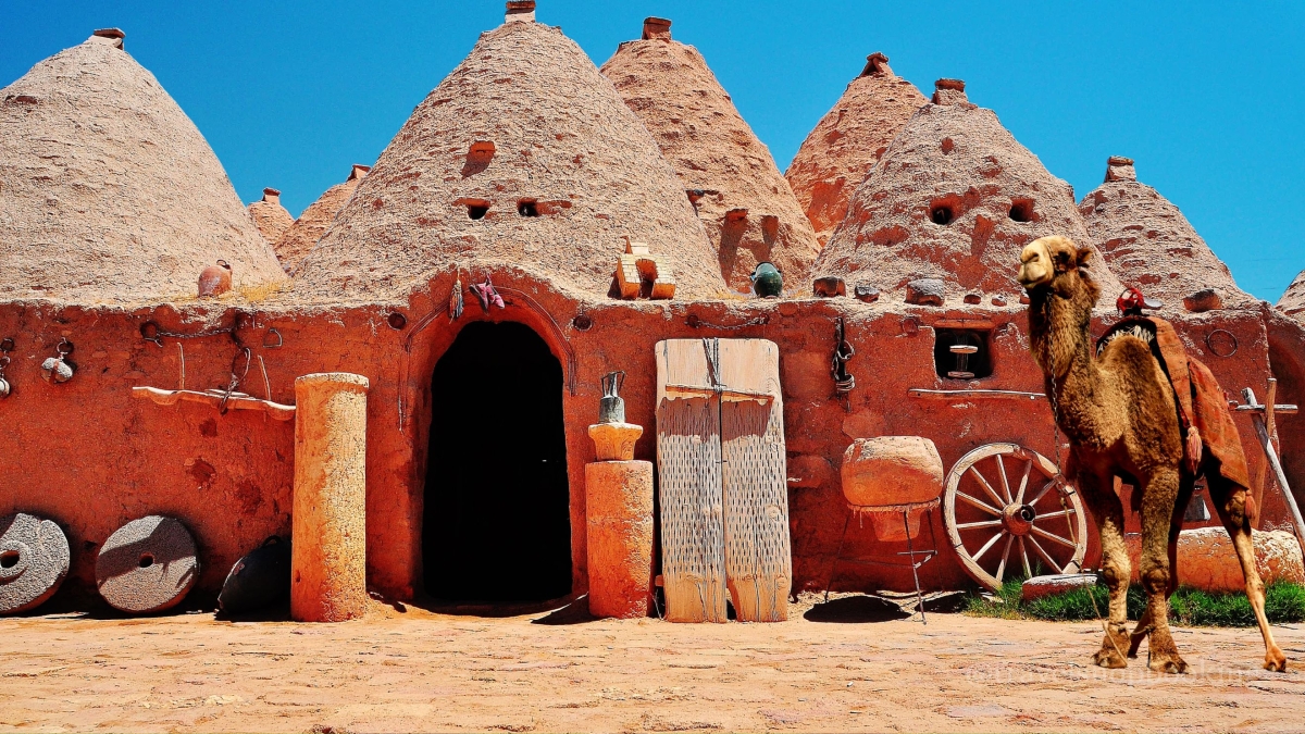 9 Day Ancient Mesopotamia & Southeastern Turkey Cultural Heritage Tour photo 6