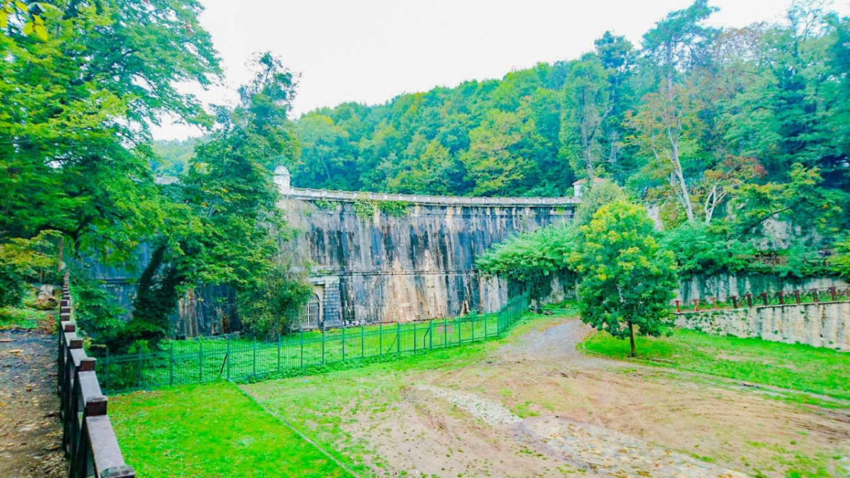 Istanbul Belgrad Forest Hiking & Trekking Tour with Local Hikers photo 5