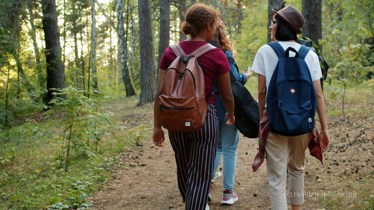 Istanbul Belgrad Forest Hiking & Trekking Tour with Local Hikers photo 6