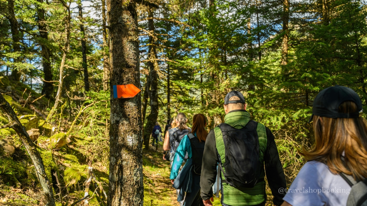 Istanbul Belgrad Forest Hiking & Trekking Tour with Local Hikers photo 2