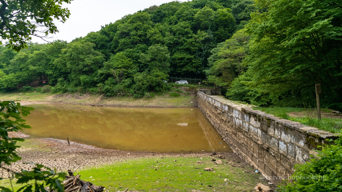 Istanbul Belgrad Forest Hiking & Trekking Tour with Local Hikers photo 7