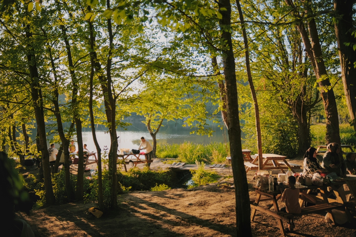 Istanbul Belgrad Forest Hiking & Trekking Tour with Local Hikers photo 8