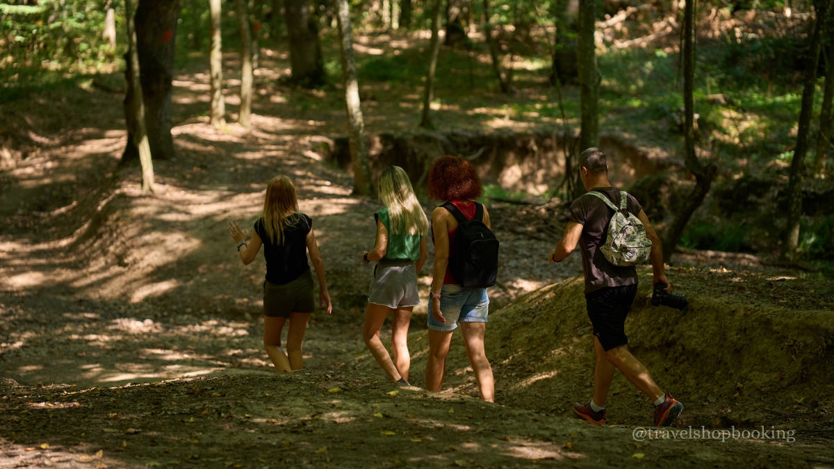 Istanbul Belgrad Forest Hiking & Trekking Tour with Local Hikers photo 3