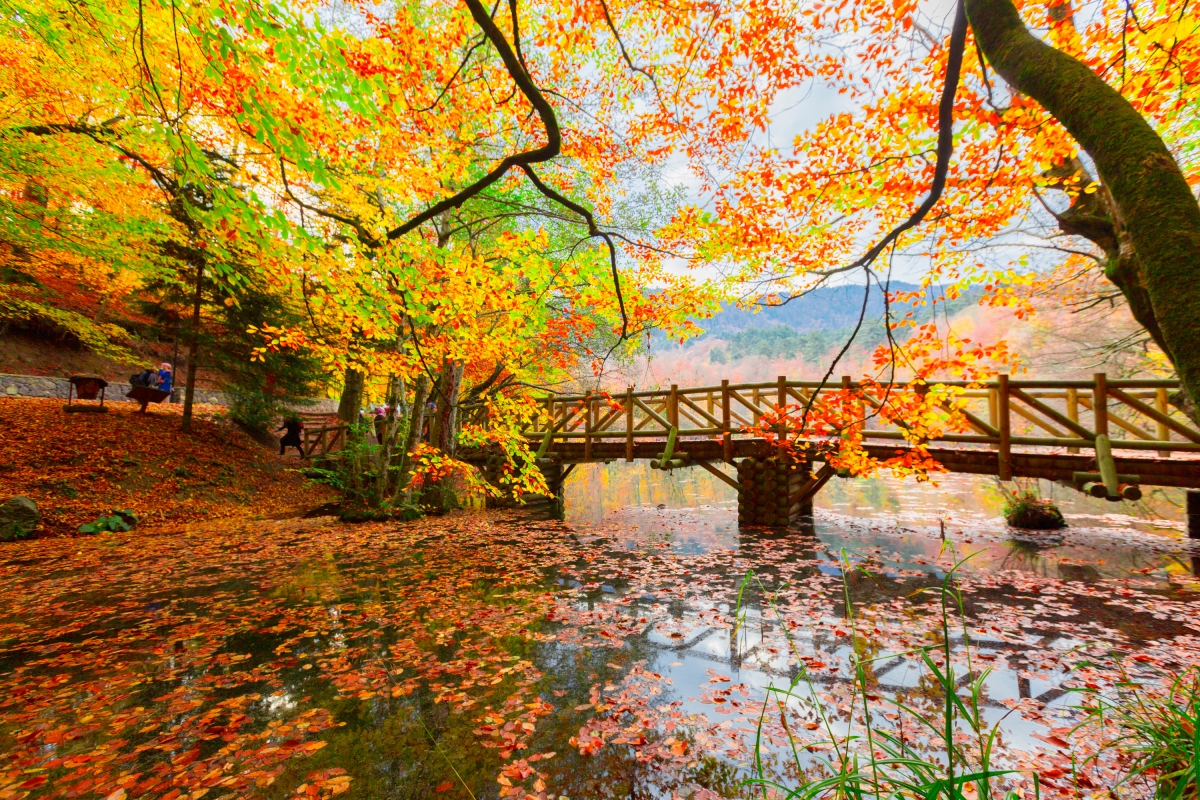 8 Days Turkey Tour Package: Istanbul, Bursa, Pamukkale, Cappadocia, Ankara, Bolu & Sapanca Lake photo 2