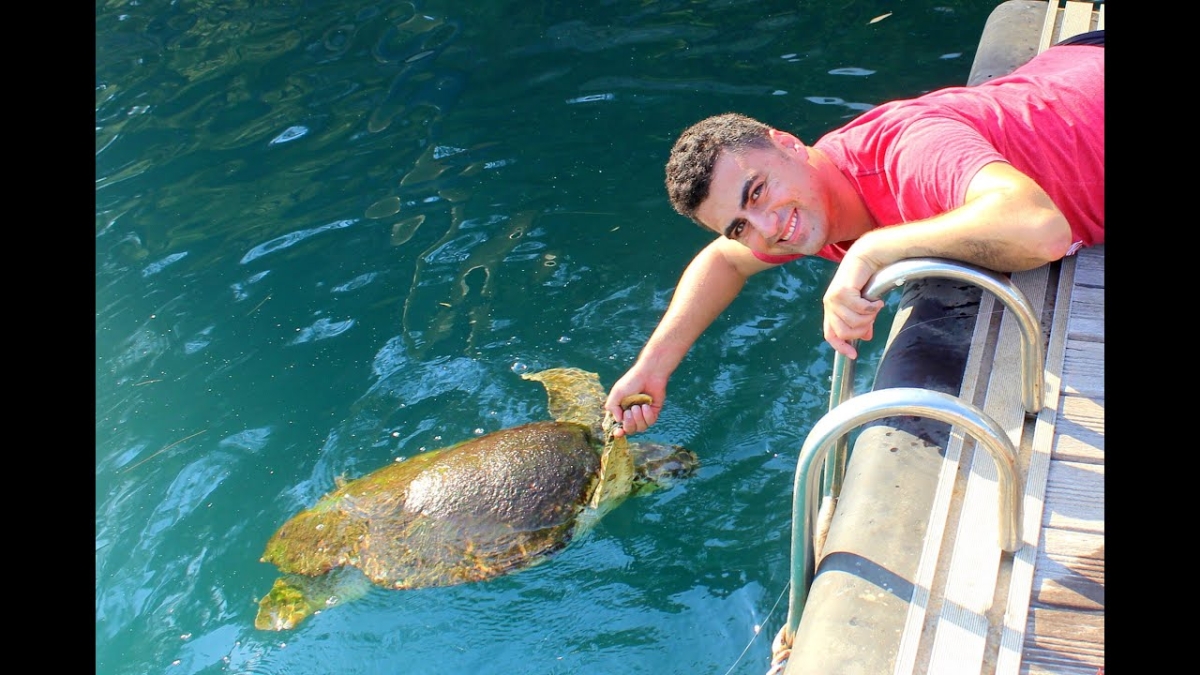 Dalyan Relax Boat Trip with Mud Baths & Iztuzu Beach photo 10