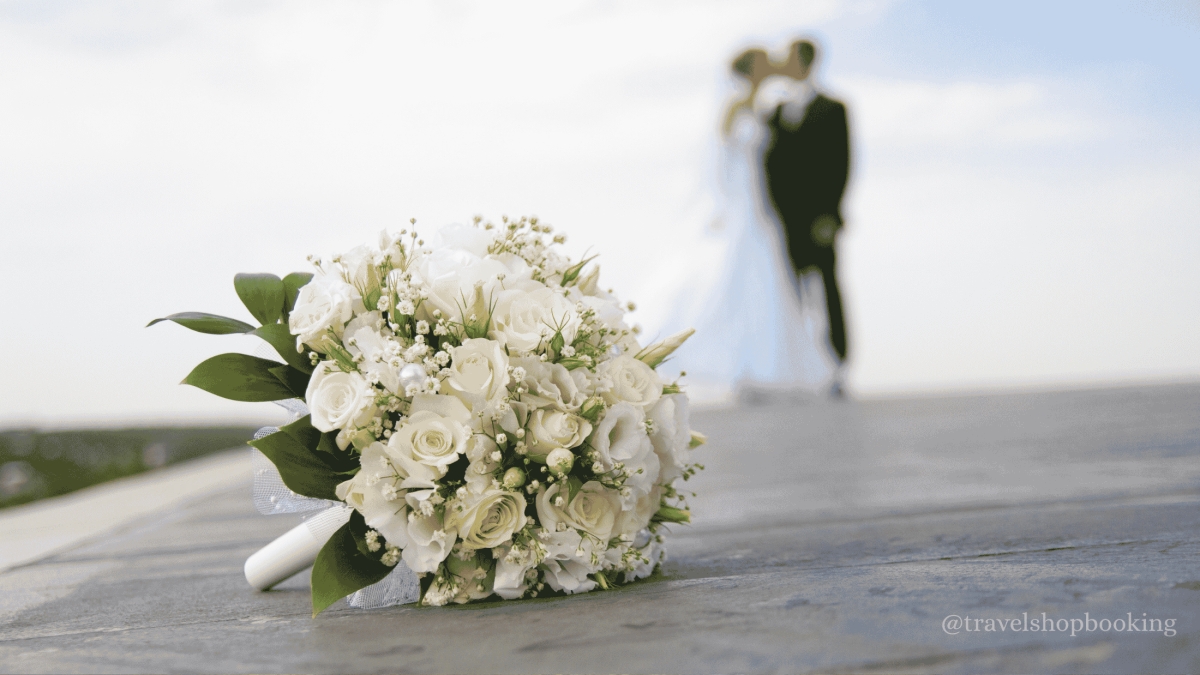 4 Day Bodrum Wedding Tour Package photo 4