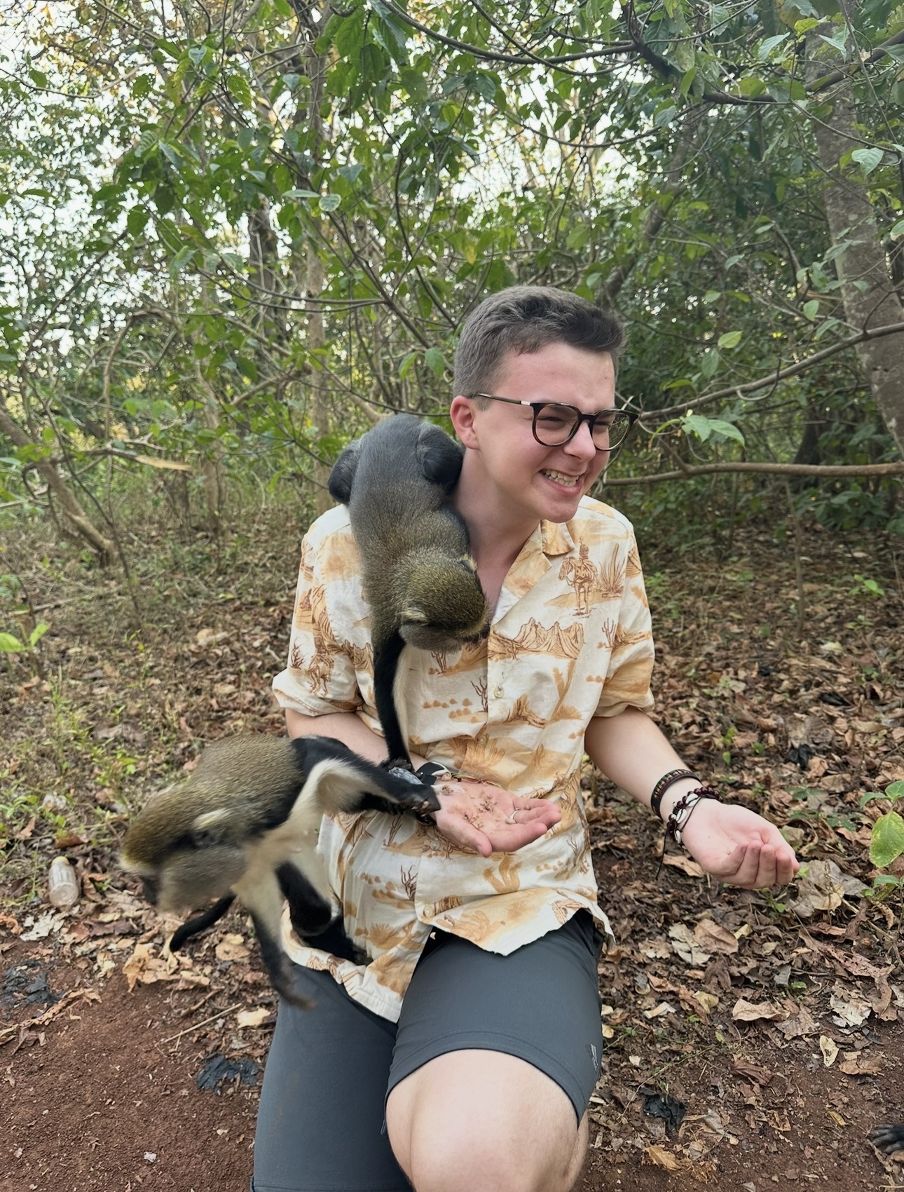 Visiting Boabeng-Fiema Monkey Sanctuary: A Unique Wildlife Experience in Ghana