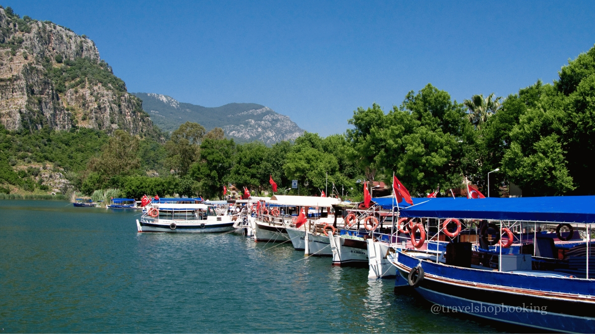 Daily Dalyan Turtle Clinic, Mud Baths & İztuzu Beach Tour from Muğla photo 5
