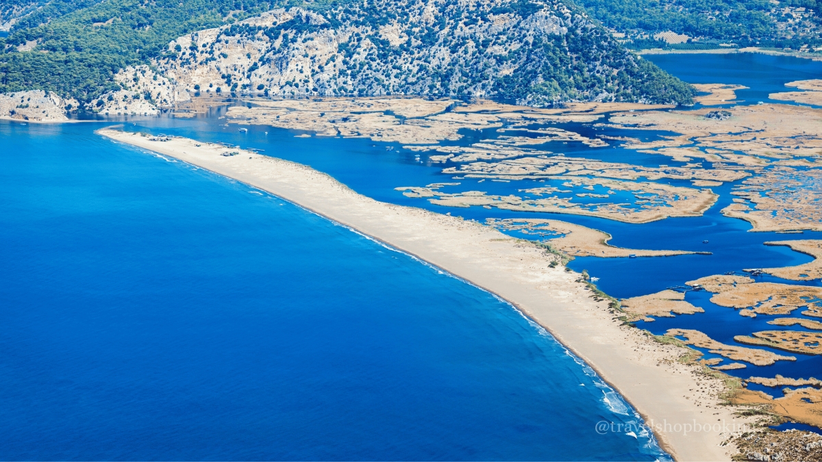 Daily Dalyan Turtle Clinic, Mud Baths & İztuzu Beach Tour from Muğla photo 9