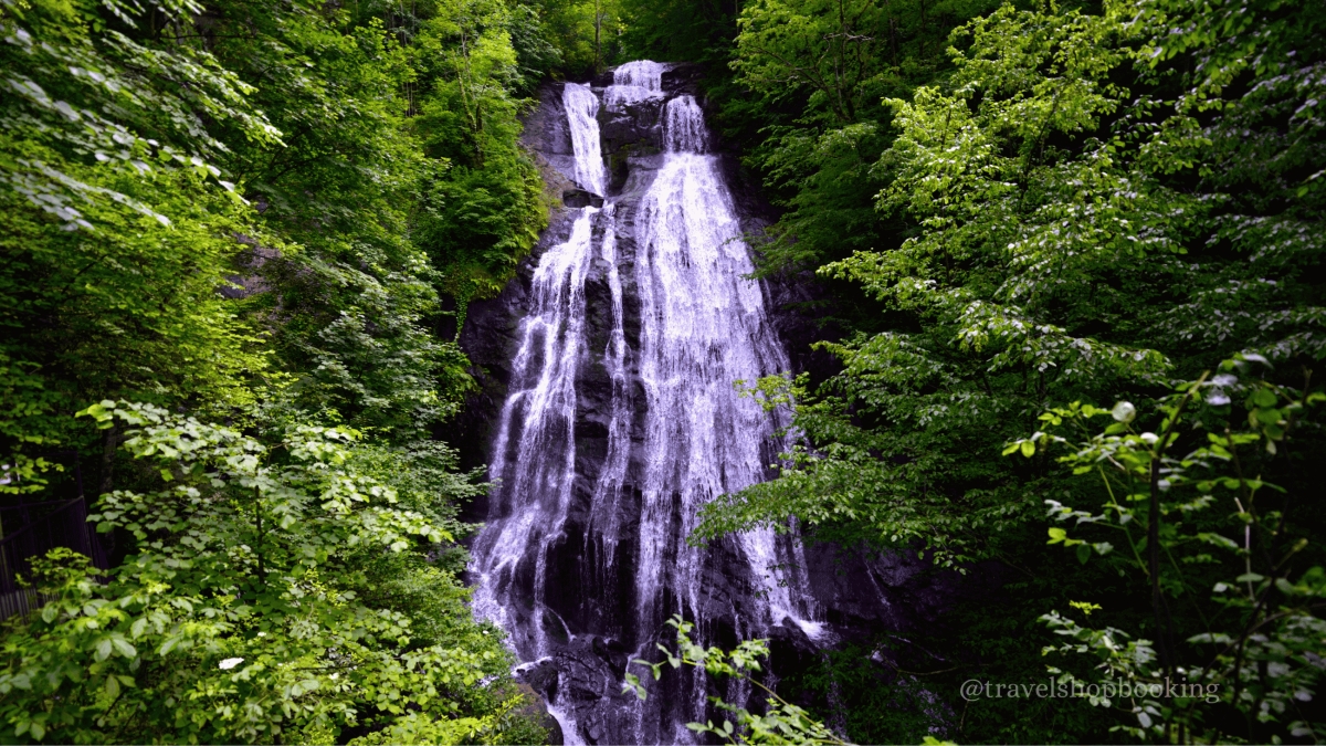 Daily Sakarya Waterfalls & Nature Tour | Samandere, Guzeldere Waterfalls & Topuk Plateau photo 5