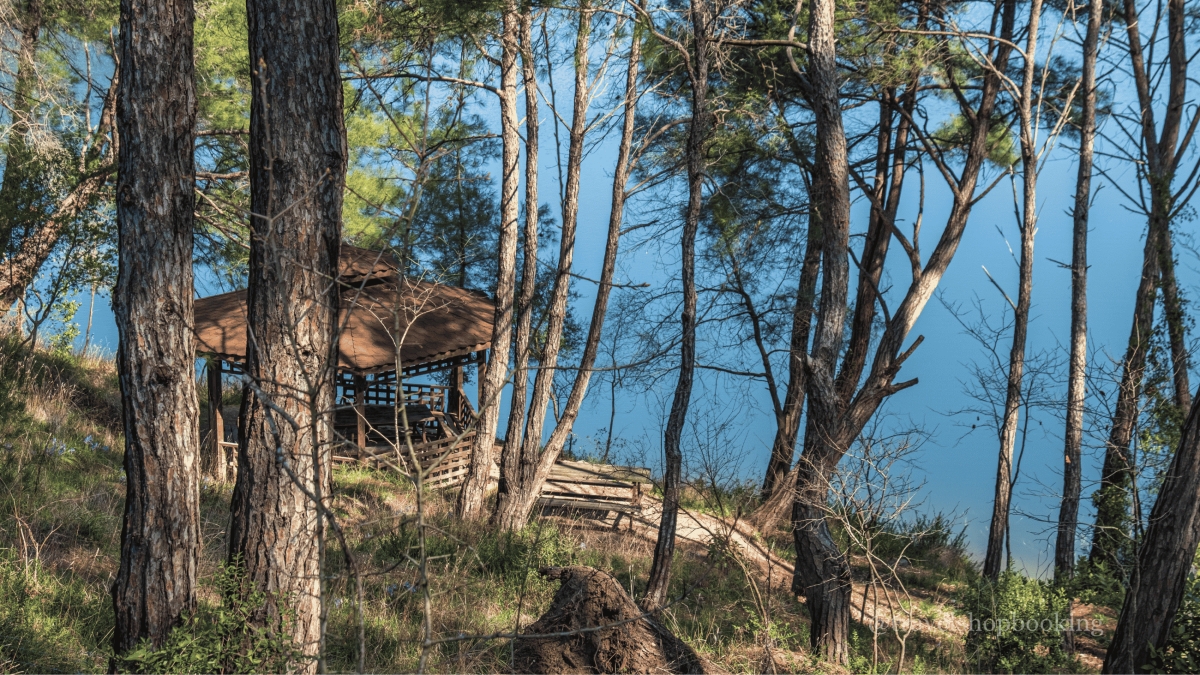 4 Days Osmaniye City Tour Package | Kadirli, Karatepe, Waterfalls & Turkish Bath Experience photo 5