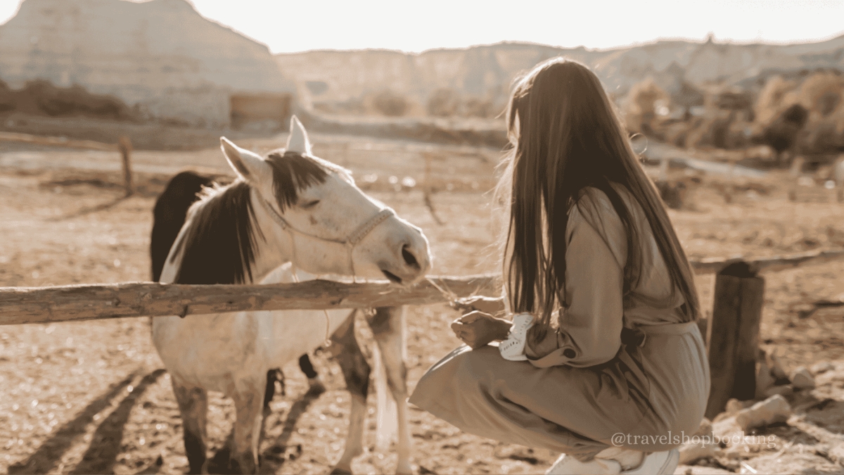 Cappadocia Horse Riding Tour | Scenic Valley Horseback Adventure photo 3