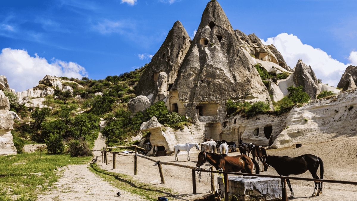 Cappadocia Horse Riding Tour | Scenic Valley Horseback Adventure photo 5