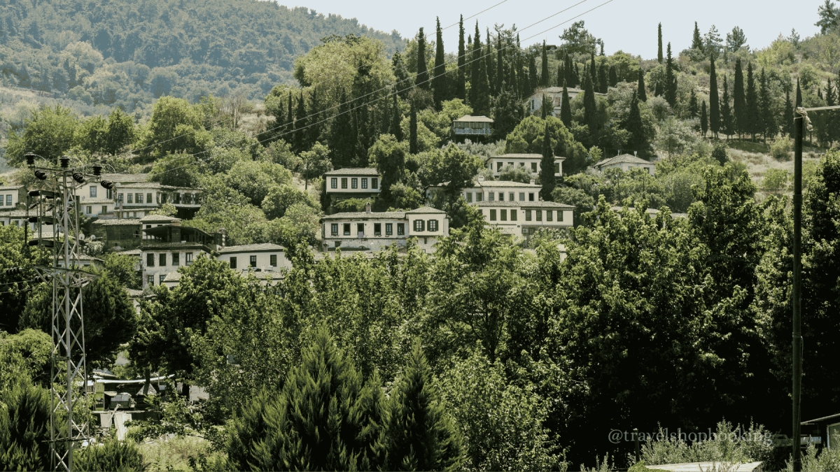 Ephesus & House of Virgin Mary Tour from Kusadasi | Sirince Village & Temple of Artemis photo 10
