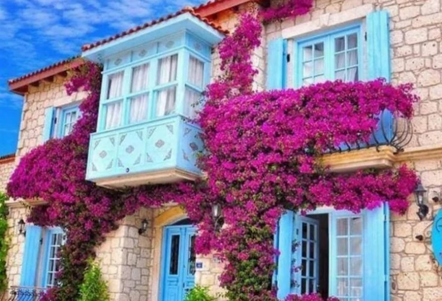 4 Days Cesme City & Cooking Tour photo 2