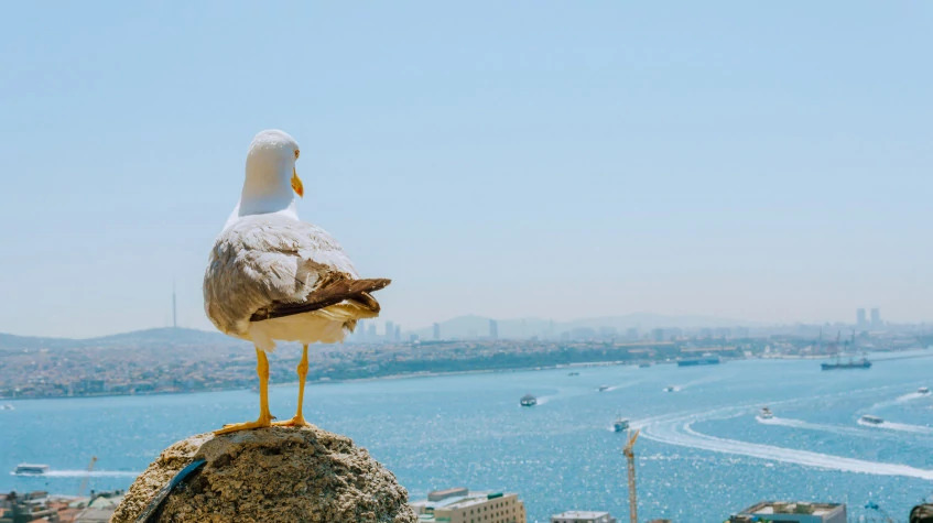 4 Days Private Luxury Istanbul City Tour photo 45